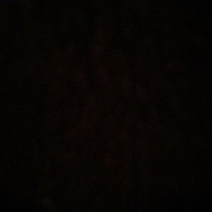 Meet your Posher, Jocelyn